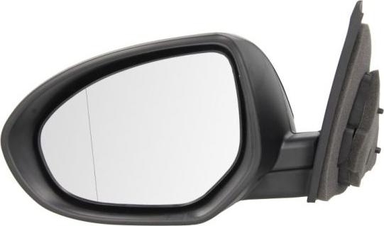 BLIC 5402-14-2001717P - Rétroviseur extérieur droxauto.com