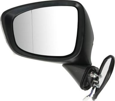 BLIC 5402-14-2001735P - Rétroviseur extérieur droxauto.com