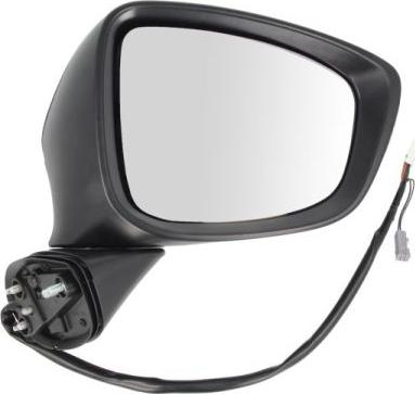 BLIC 5402-14-2001738P - Rétroviseur extérieur droxauto.com