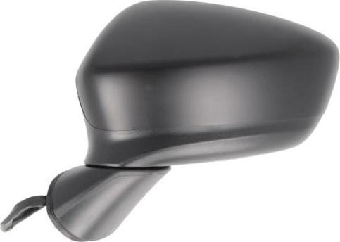 BLIC 5402-14-2001733P - Rétroviseur extérieur droxauto.com