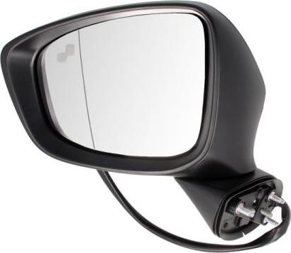 BLIC 5402-14-2001737P - Rétroviseur extérieur droxauto.com