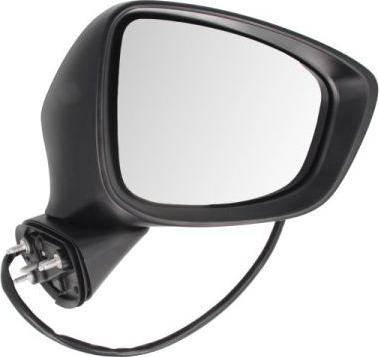 BLIC 5402-14-2001734P - Rétroviseur extérieur droxauto.com