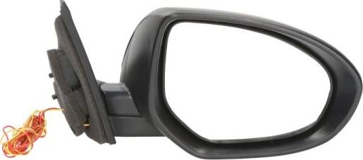 BLIC 5402-14-2001720P - Rétroviseur extérieur droxauto.com