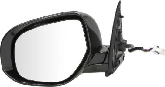 BLIC 5402-15-2001861P - Rétroviseur extérieur droxauto.com