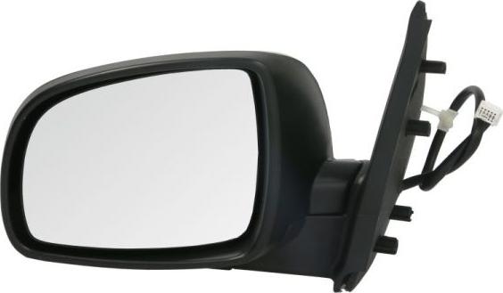 BLIC 5402-16-039333P - Rétroviseur extérieur droxauto.com