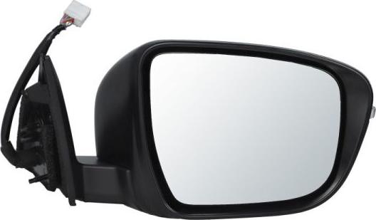 BLIC 5402-16-1036319P - Rétroviseur extérieur droxauto.com