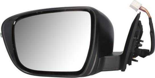 BLIC 5402-16-1036318P - Rétroviseur extérieur droxauto.com