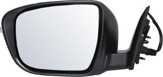 BLIC 5402-16-1036312P - Rétroviseur extérieur droxauto.com