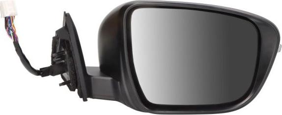 BLIC 5402-16-1036323P - Rétroviseur extérieur droxauto.com