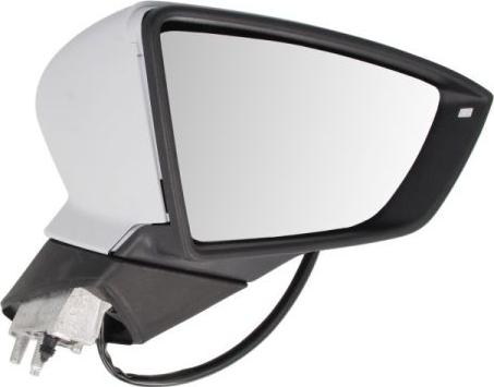 BLIC 5402-10-2002306P - Rétroviseur extérieur droxauto.com