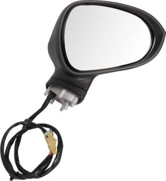 BLIC 5402-10-2002280P - Rétroviseur extérieur droxauto.com