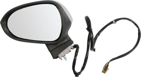 BLIC 5402-10-2002281P - Rétroviseur extérieur droxauto.com