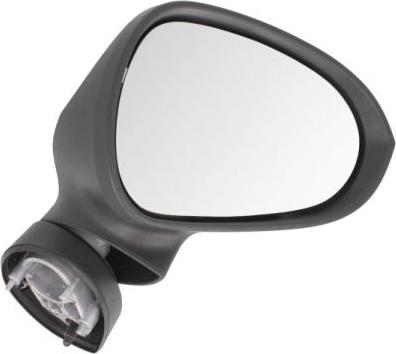 BLIC 5402-10-2002288P - Rétroviseur extérieur droxauto.com