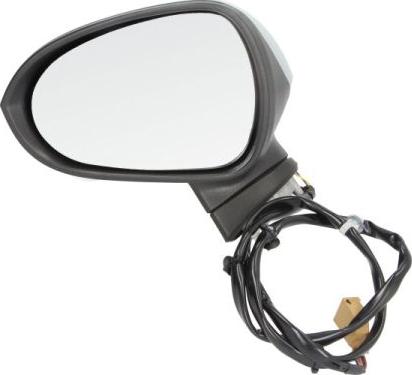 BLIC 5402-10-2002279P - Rétroviseur extérieur droxauto.com