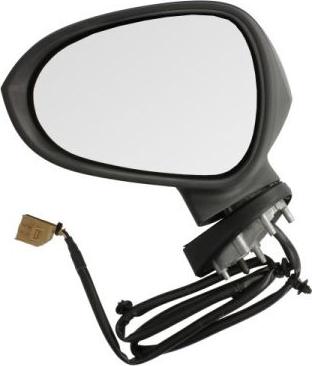 BLIC 5402-10-2002277P - Rétroviseur extérieur droxauto.com