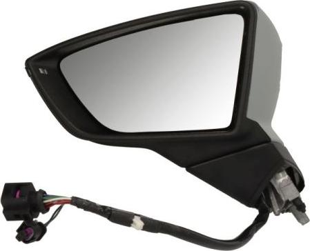 BLIC 5402-10-2120314P - Rétroviseur extérieur droxauto.com