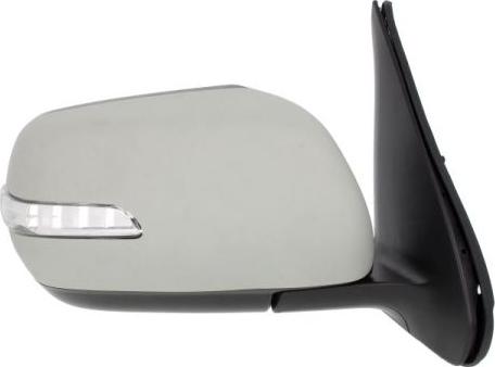 BLIC 5402-18-2002418P - Rétroviseur extérieur droxauto.com