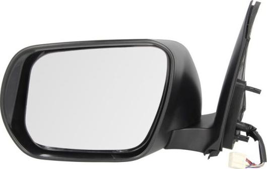 BLIC 5402-18-2002417P - Rétroviseur extérieur droxauto.com