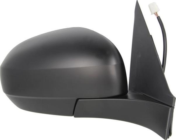 BLIC 5402-18-2002430P - Rétroviseur extérieur droxauto.com