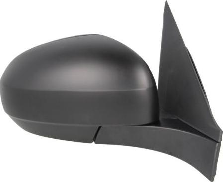 BLIC 5402-18-2002432P - Rétroviseur extérieur droxauto.com