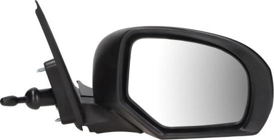 BLIC 5402-18-2002428P - Rétroviseur extérieur droxauto.com