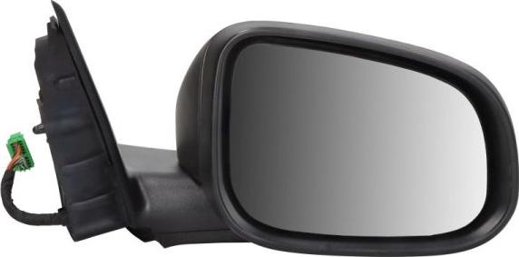 BLIC 5402-24-1517317P - Rétroviseur extérieur droxauto.com