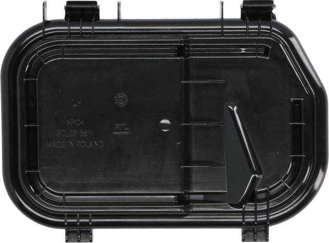 BLIC 5402-25-0060611P - Bonnette, projecteur principal droxauto.com