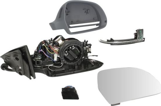 BLIC 5402-25-039364P - Rétroviseur extérieur droxauto.com