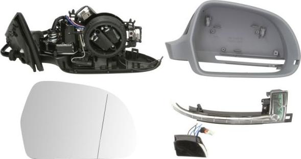 BLIC 5402-25-039332P - Rétroviseur extérieur droxauto.com