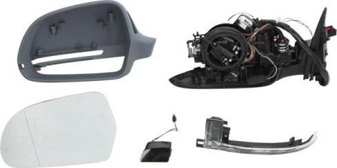 BLIC 5402-25-035335P - Rétroviseur extérieur droxauto.com