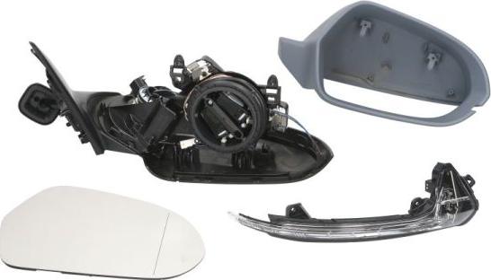 BLIC 5402-25-2001034P - Rétroviseur extérieur droxauto.com