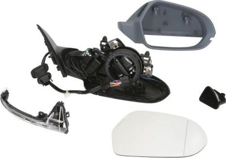 BLIC 5402-25-2001038P - Rétroviseur extérieur droxauto.com