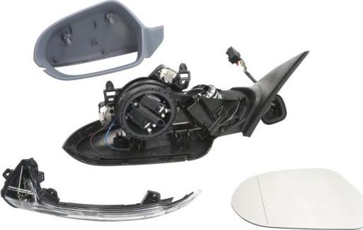 BLIC 5402-25-2001033P - Rétroviseur extérieur droxauto.com