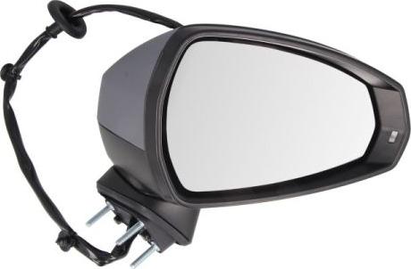 BLIC 5402-25-2001028P - Rétroviseur extérieur droxauto.com