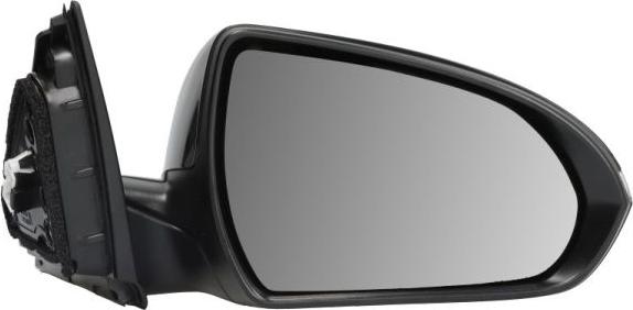 BLIC 5402-20-1966319P - Rétroviseur extérieur droxauto.com