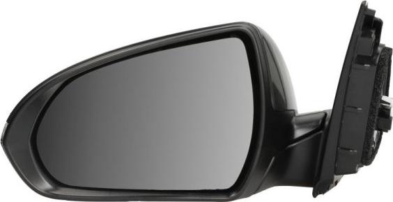 BLIC 5402-20-1966314P - Rétroviseur extérieur droxauto.com