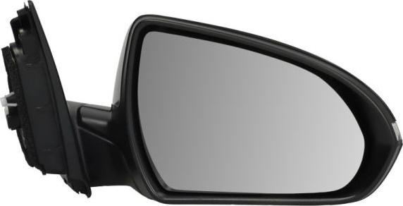 BLIC 5402-20-1966315P - Rétroviseur extérieur droxauto.com