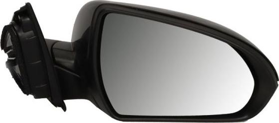 BLIC 5402-20-1966311P - Rétroviseur extérieur droxauto.com