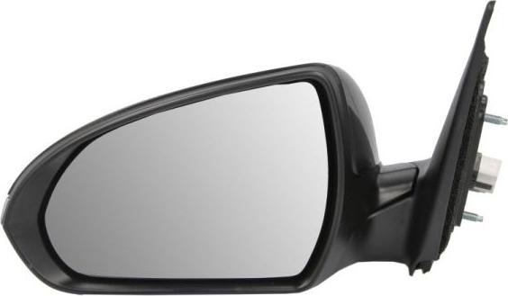 BLIC 5402-20-1729314P - Rétroviseur extérieur droxauto.com