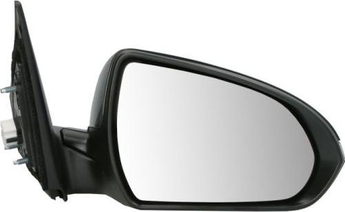 BLIC 5402-20-1729315P - Rétroviseur extérieur droxauto.com