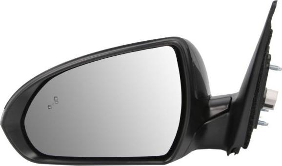 BLIC 5402-20-1729316P - Rétroviseur extérieur droxauto.com