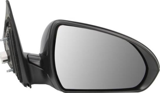 BLIC 5402-20-1729311P - Rétroviseur extérieur droxauto.com