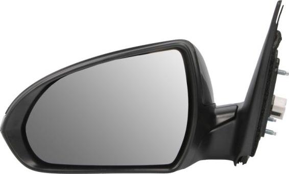 BLIC 5402-20-1729318P - Rétroviseur extérieur droxauto.com