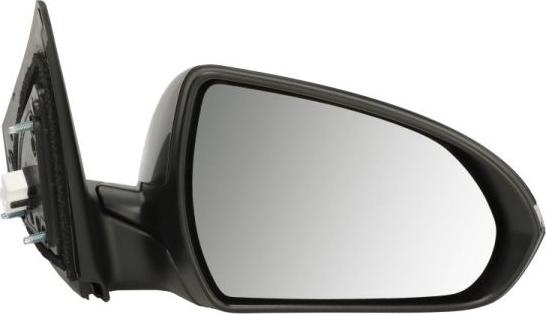 BLIC 5402-20-1729313P - Rétroviseur extérieur droxauto.com