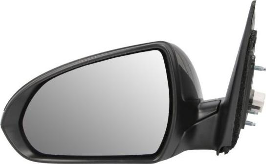BLIC 5402-20-1729312P - Rétroviseur extérieur droxauto.com