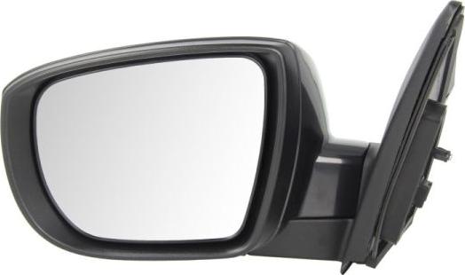 BLIC 5402-20-2001419P - Rétroviseur extérieur droxauto.com