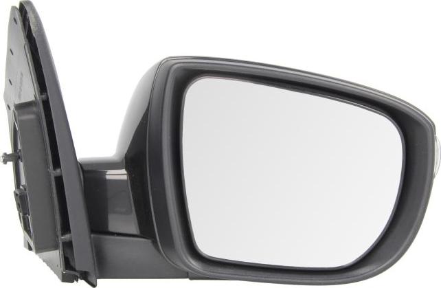 BLIC 5402-20-2001424P - Rétroviseur extérieur droxauto.com