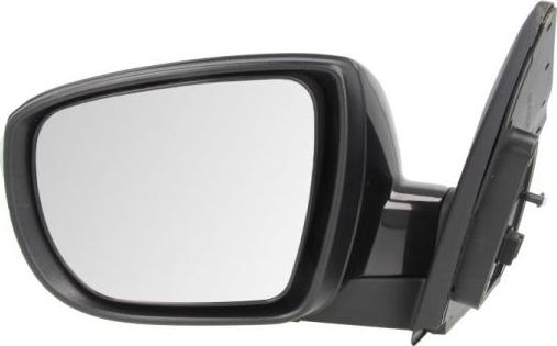 BLIC 5402-20-2001423P - Rétroviseur extérieur droxauto.com