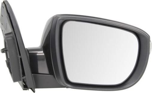 BLIC 5402-20-2001422P - Rétroviseur extérieur droxauto.com