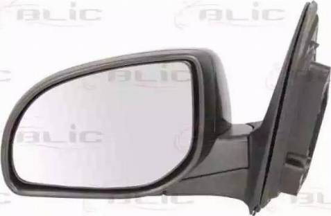 BLIC 5402-20-2001399P - Rétroviseur extérieur droxauto.com